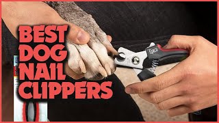 Paw-some Picks: Top Dog Nail Clippers for Happy Paws!