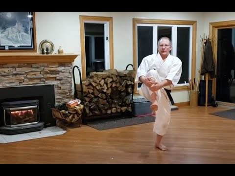 Home Shotokan Karate Training - March 10th 2021 - University of Minnesota Shotokan Karate Club