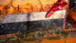 EC: Sydney Opera House 5/5