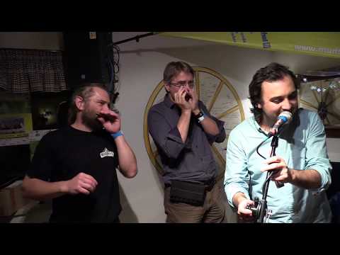 Mundharmonikalive 2017