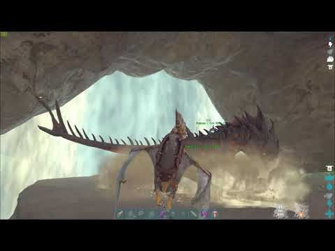 MTS Servers | Killing 2 Gigas + Fighting reedwood Cave