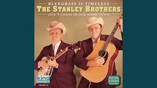 Pretty Little Miss In The Garden