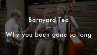 Barnyard Tea – Why you been gone so long (Mickey Newbury cover)