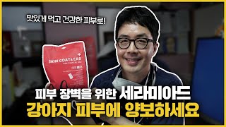 세라마이드로 우리 강아지 피부건강을 챙겨주세요 :)