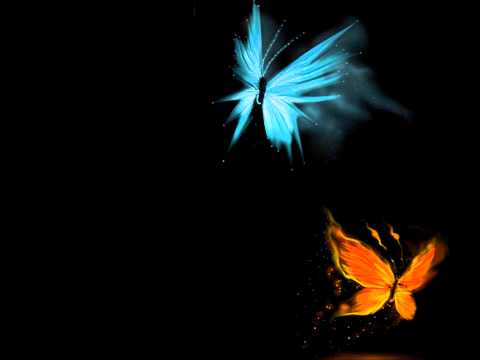 Michele Adamson - Flutterby