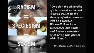 traditions beliefs and Habits.' let's talk about the truth.' a lecture about Rights to meat eaters