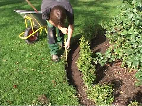 TRÄDGÅRDSANLÄGGARE 4 Reparationer 5 UNDVIK OGRÄS