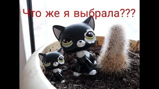Lps:Что за интро я выбрала?!