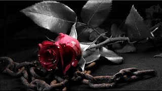 We Are Here - Alicia Keys (Tradução)