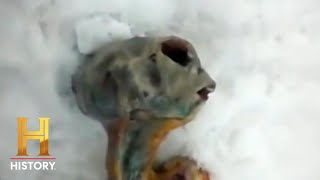 The Proof Is Out There: Mysterious Alien Found in Russia (Season 1) | History