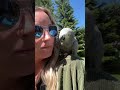 trying to change her name again 🤔 #parrots #bird #birds #parrot #talkingparrot #funnyanimals