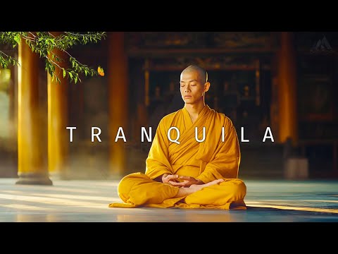 Relax with Reiki Music: Release Stress, Activate Melatonin and Purify the Body