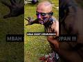 Aksi Mbah Sogot Kesurupan Kudalumping Jaranan Kudalumping