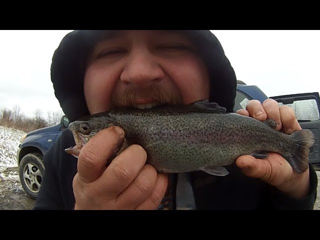 Vlog #49: Bank Fishing and Eating Stocked Trout Raw (Catch and Eat)