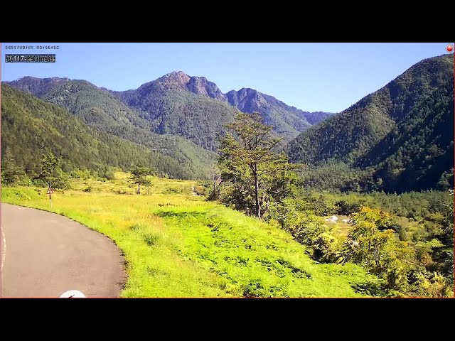 武陵農場金針花海