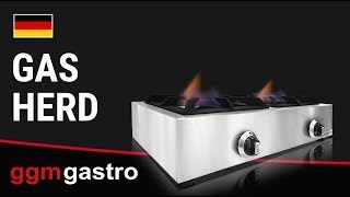 Bänkmodell Gasspis - 11 kW - 2 brännare - 770x400x170 mm