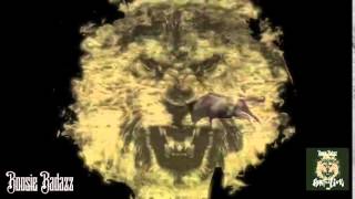 Lil Boosie: Heart Of A Lion 2014
