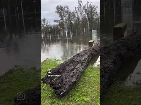 continúa el descenso de las Agus del Río Yi en Durazno Uruguay 🇺🇾🇺🇾🇺🇾