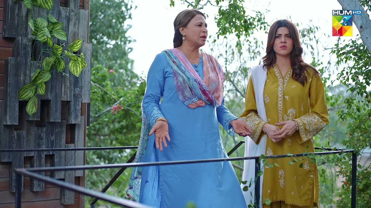 Acha Hoga Ke Tumhari Saas Marr Jaye..! #meribahuain - HUM TV