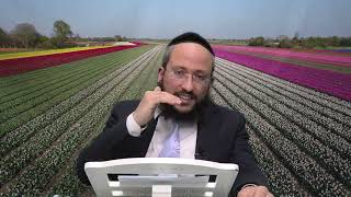 ארץ חמדה |מה עושים עם תרומה גדולה ותרומת מעשר? | הגאון הרב אברהם חדאד שליט"א (מוסדות כיסא רחמים) - התמונה מוצגת ישירות מתוך אתר האינטרנט יוטיוב. זכויות היוצרים בתמונה שייכות ליוצרה. קישור קרדיט למקור התוכן נמצא בתוך דף הסרטון