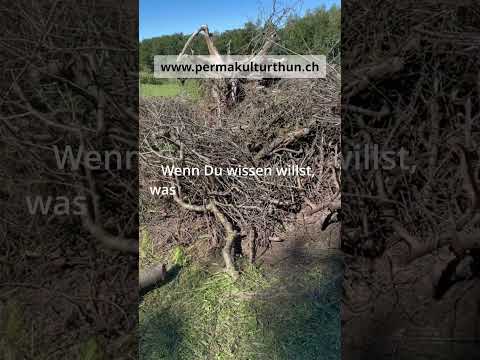 Herbst-Permakultur: Gartenkurs für nachhaltiges Gärtnern