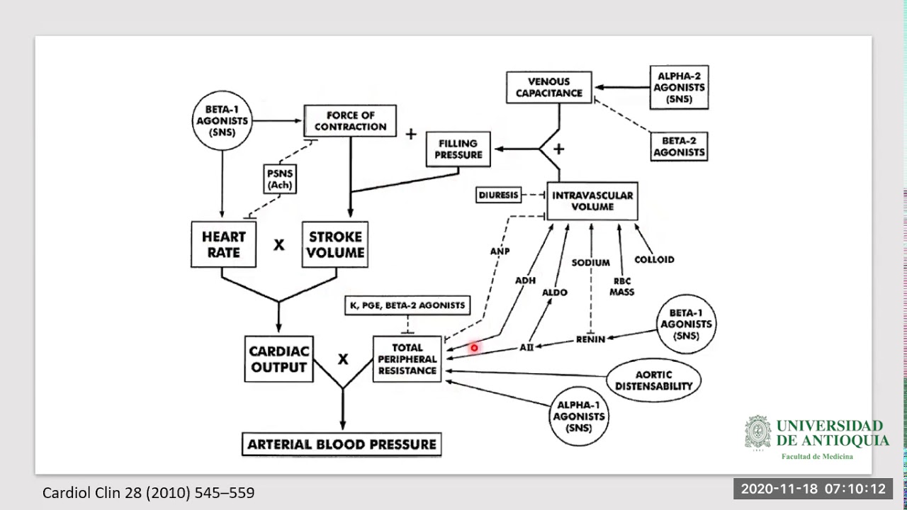 Fisiopatología Hipertensión Arterial - Dr. Juan Camilo Cifuentes