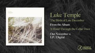 Luke Temple - The Birds of Late December (Official Audio)
