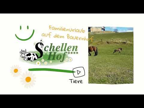 Video 8 aus  Schellen Hof