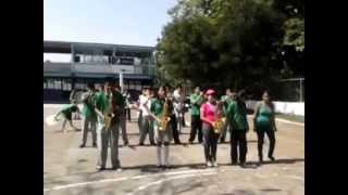 preview picture of video 'banda de musica halcones de tlapacoyan'