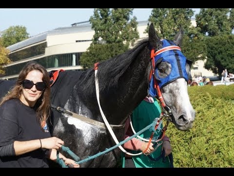 Gon. II - 13.10.2019 - Mecca's Spirit (Dark Angel - Wiltshire Life)