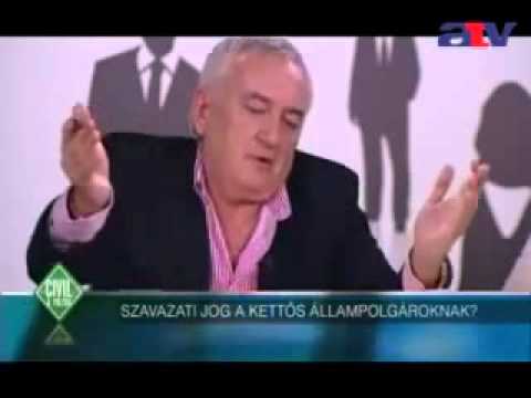 4 4   Járjon e választói joggal a kettős állampolgárság  20