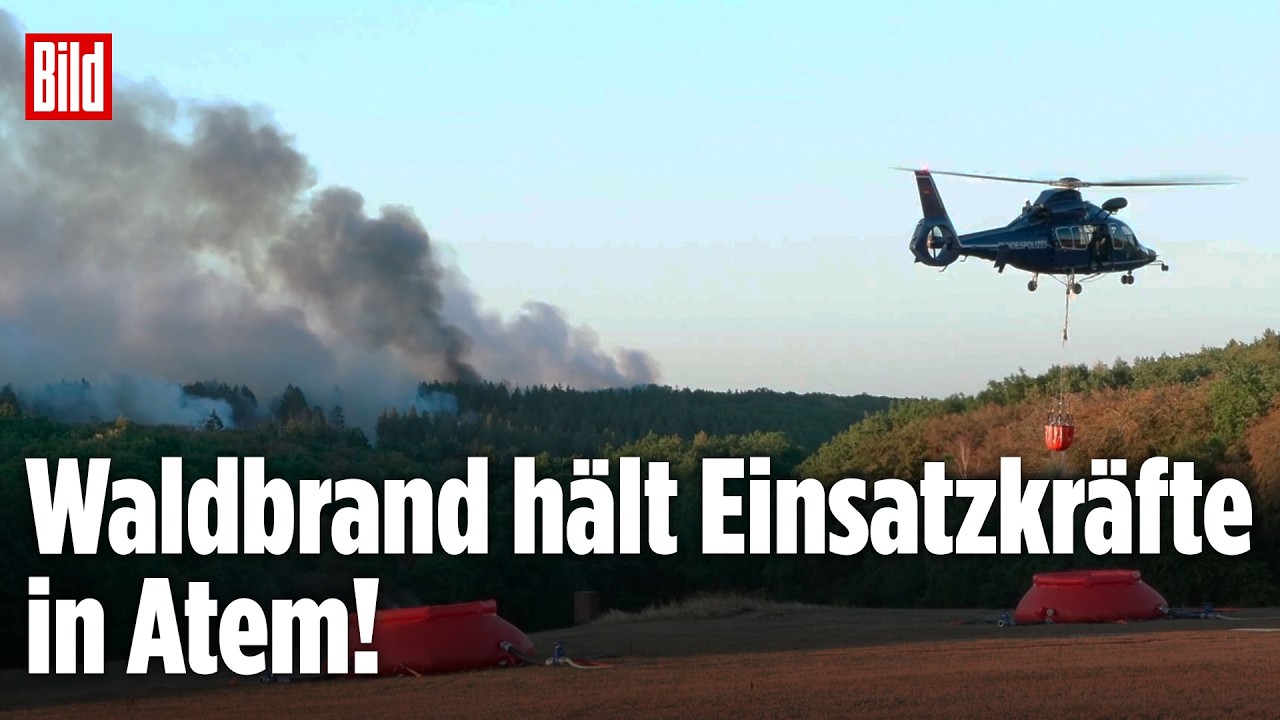 HÜRTGENWALD: Über 25 Hektar in Flammen – neue Drohnenaufnahmen der Feuer-Hölle!