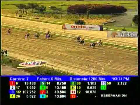 Resumen Domingo, 01 de Septiembre de 2013 - La Rinconada