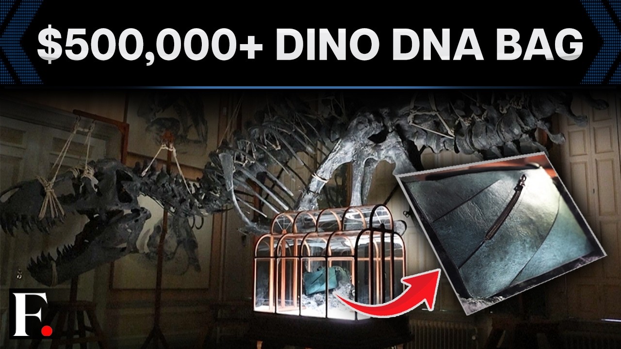 "T-Rex Leather" Luxury Bag Debuts in Amsterdam, Auction to Begin at $500,000 | Watch