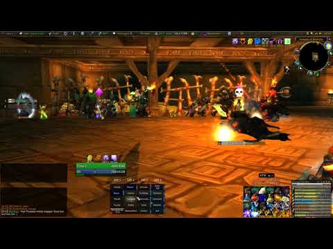 Odobenus Rosmarus - ZG - Arlokk - HealerPOV