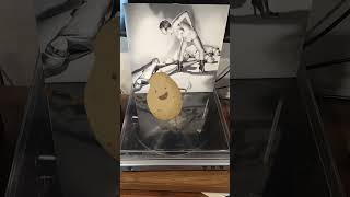 DEVO -&quot;Hardcore Vol.1&quot; 1974-77 My Vinyl Record Collection 058 #devo #newwave #punk #vinylcollection