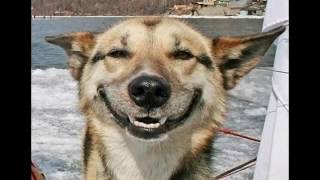 If He Really Knew Me, by Marvin Hamlisch, Piano Accompaniment only