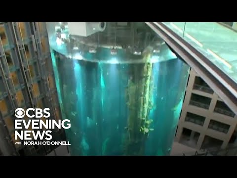 Aquarium holding 1,500 fish bursts in Berlin hotel