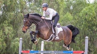 Tamra Smith's Motivation & StretchTec Shoulder Relief Girth - Total Saddle Fit