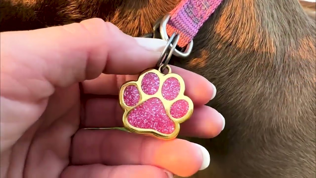 Pawnimals - Gold Sparkly Paw Pet ID Tag 1