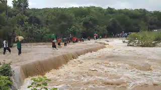 Download lagu Daraja la ngwasi mlimba hakupitiki mp3 Download lagu Daraja la ngwasi mlimba hakupitiki mp3