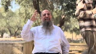 הגיעה העת חייבים לעלות ציון • פרשת וישלח | הרב שלומי בדש (ישיבת הר הבית) - התמונה מוצגת ישירות מתוך אתר האינטרנט יוטיוב. זכויות היוצרים בתמונה שייכות ליוצרה. קישור קרדיט למקור התוכן נמצא בתוך דף הסרטון