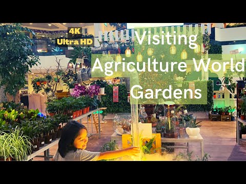 (4K) Visiting AWG Garden Center, Dubai , Landscaping and Interior Design