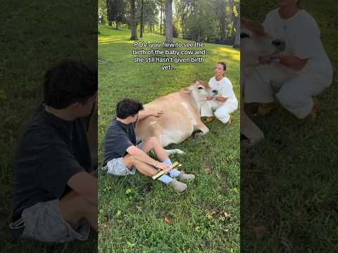 She Needs To Give Birth ASAP! 😂 #shorts #birth