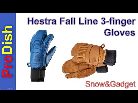 download lagu mp3 mp4 Hestra Leather Fall Line 3 Finger Gloves, download lagu Hestra Leather Fall Line 3 Finger Gloves gratis, unduh video klip Hestra Leather Fall Line 3 Finger Gloves