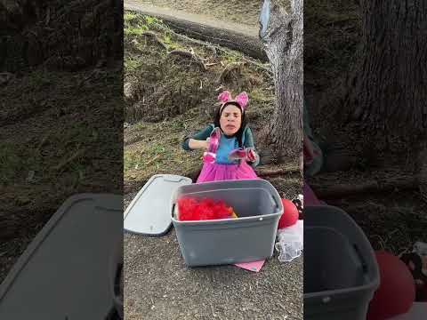 Sisi y Fefi: La Caja del Zafacon 