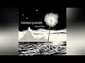 LAURA VEIRS - Carbon Glacier (Full album) - 2004