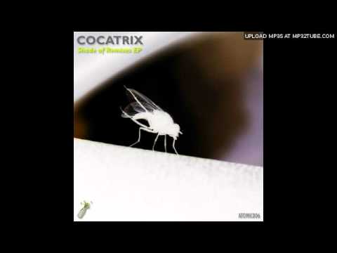Cocatrix - Shade of Meaning (Alex Plastik Remix)