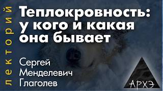 Сергей Глаголев: Теплокровность. У кого и какая она бывает