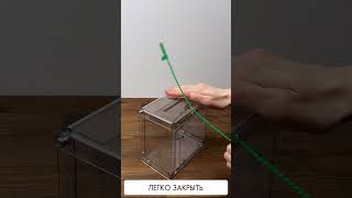 Видео Видео